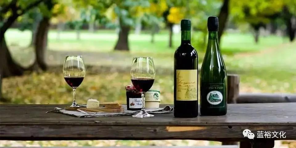 北海道葡萄酒兑什么好喝,北海道葡萄酒