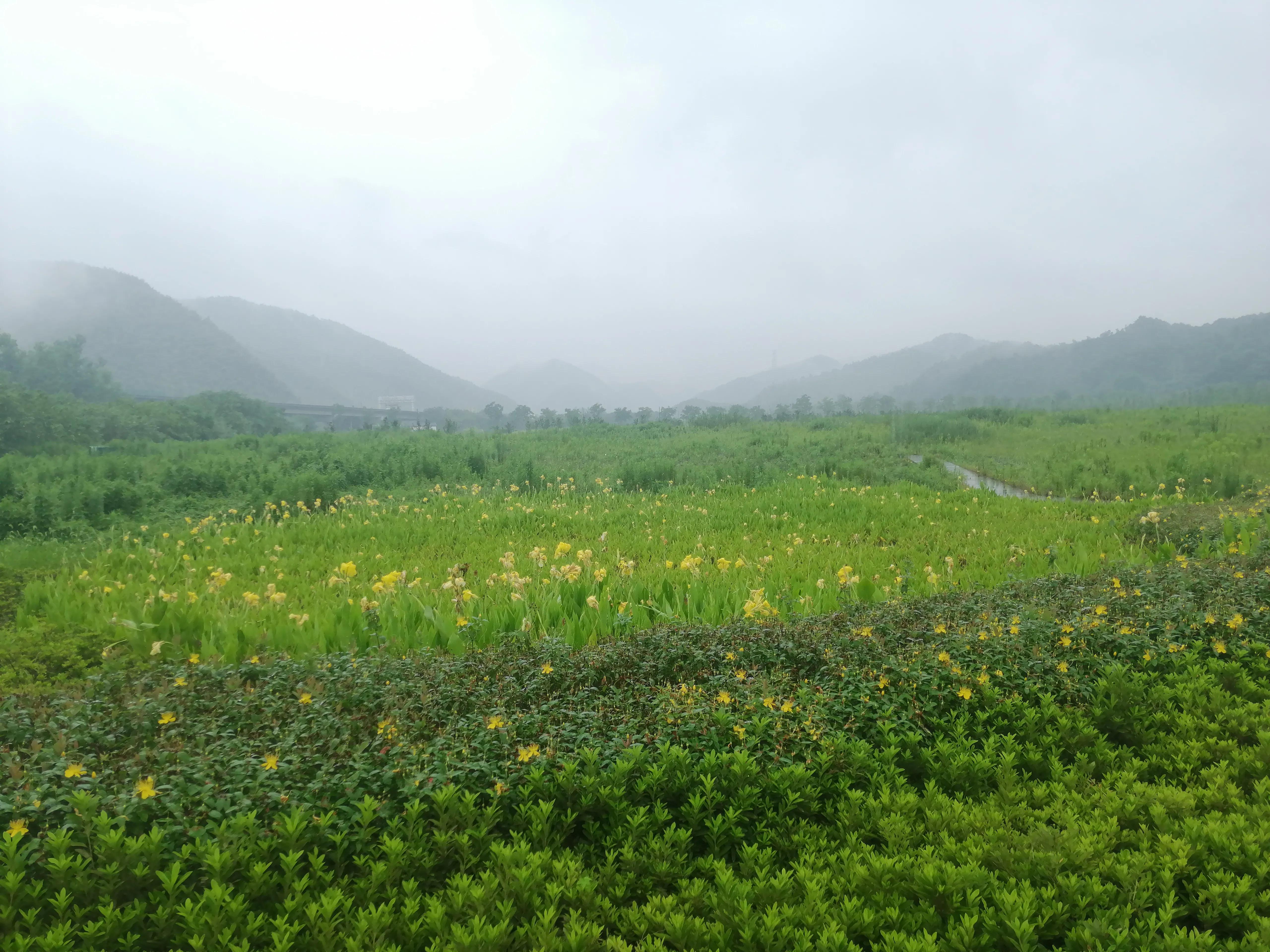 卧庐诗话@有趣的性灵总要相遇