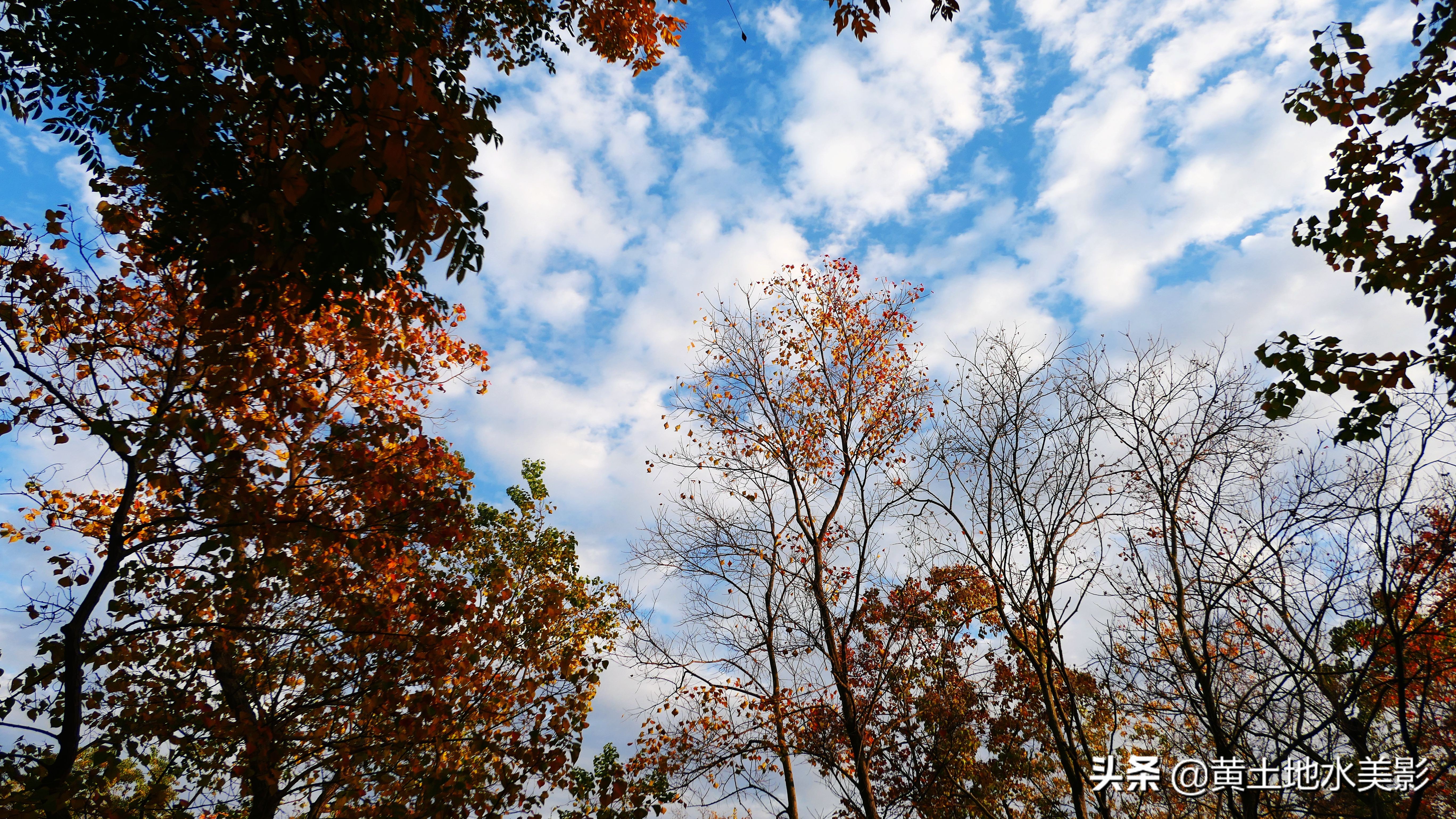 占地590亩的湿地公园,野生动物比较多的旅游景区