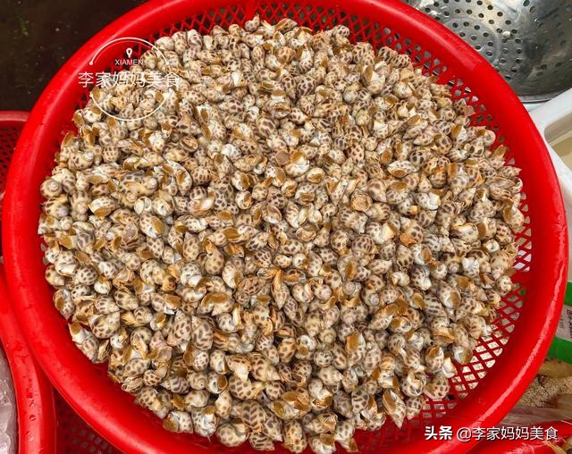 泉州休渔期什么时候结束,泉州休渔期2022时间表