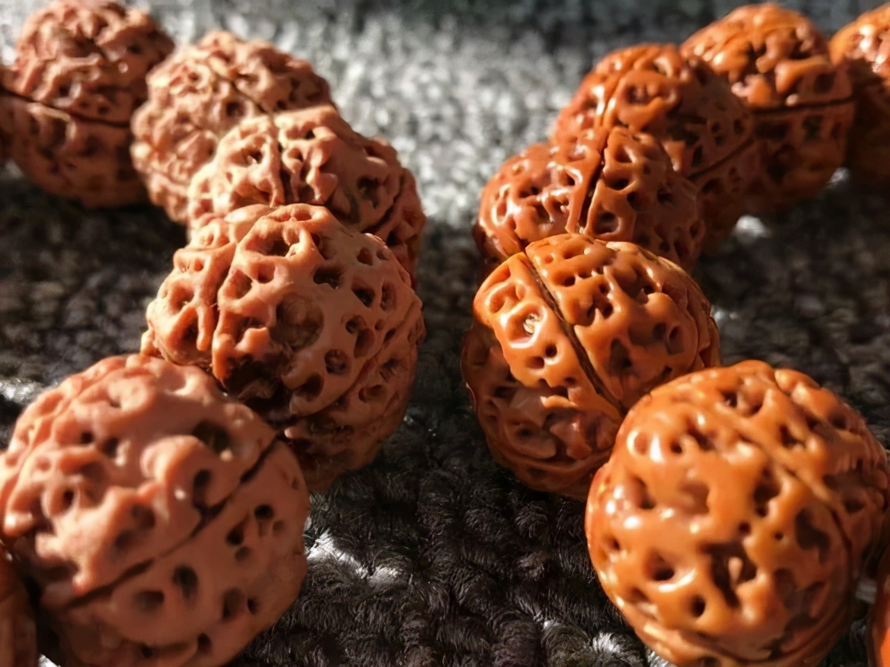 金刚菩提新手如何避坑,买金刚菩提如何避坑