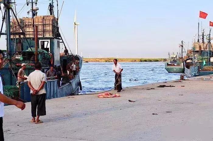 寿光羊口哪个海鲜好,寿光羊口开海节2022年