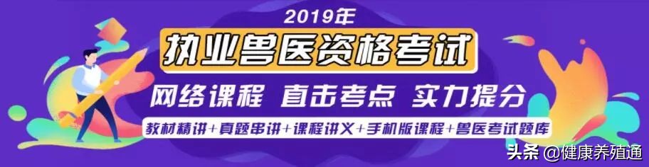牛4个胃的功能,牛胃有病有什么症状