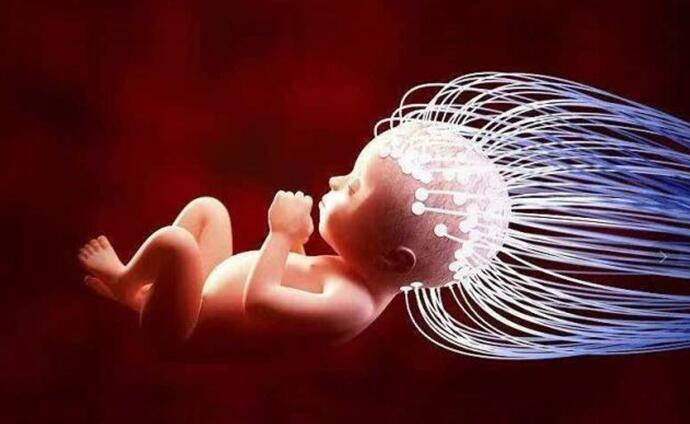 到底有没有必要给宝宝补充dha,宝宝该不该补充dha