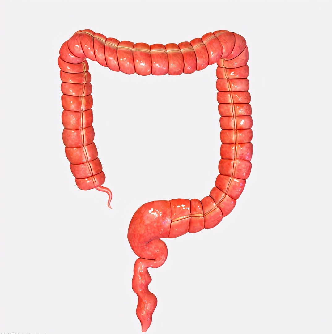 如何分辨肠道是否健康,肠道疾病怎样识别