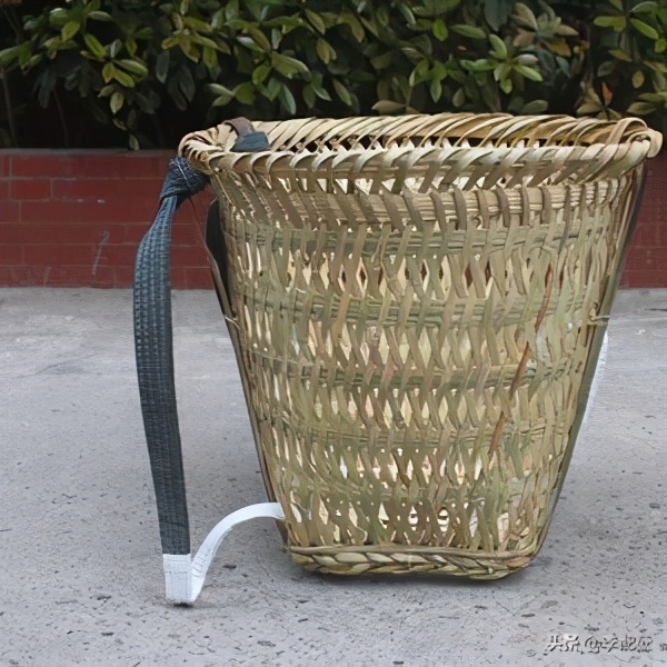 我相信，世界上有很多很多人，都是新伤叠着旧伤走过来的