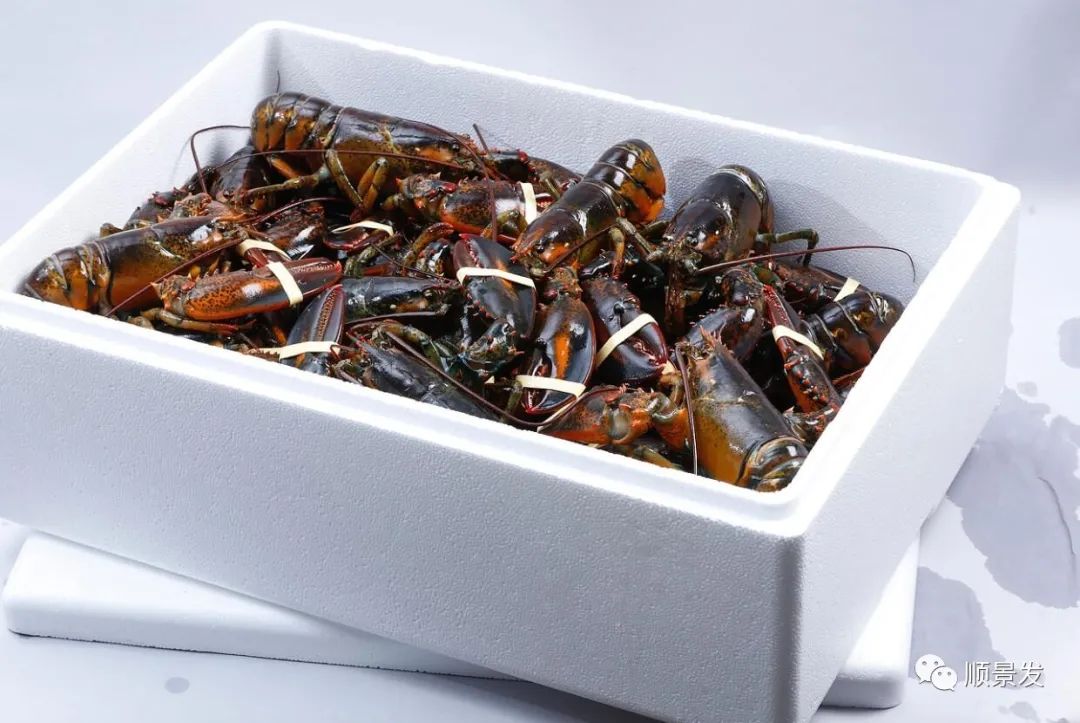 海鲜陆冻和船冻,冷冻海鲜进口知识大全