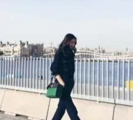 刘雯大包包推荐,刘雯同款豹纹包包