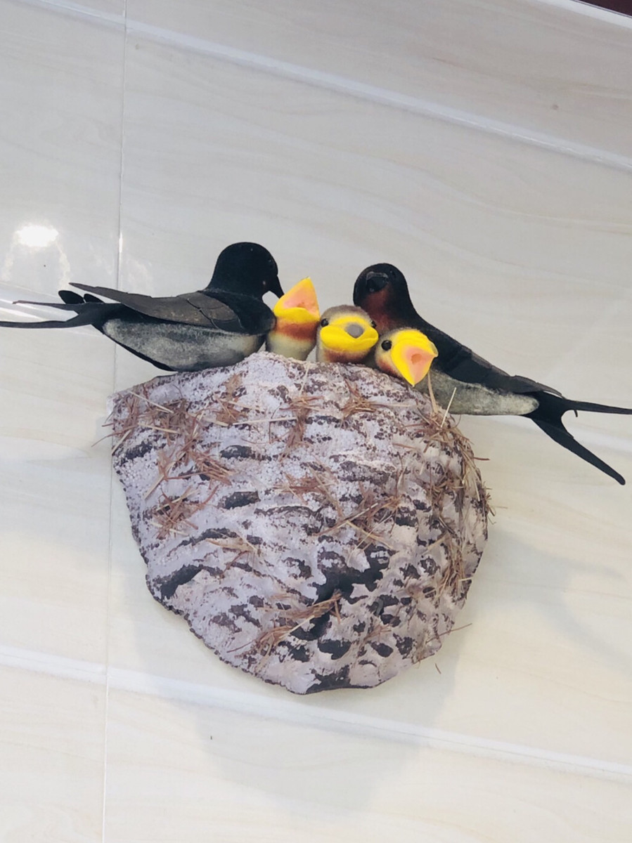 屋内不打伞、玩火会尿床，小时候听过的谚语科学分析出来有道理？