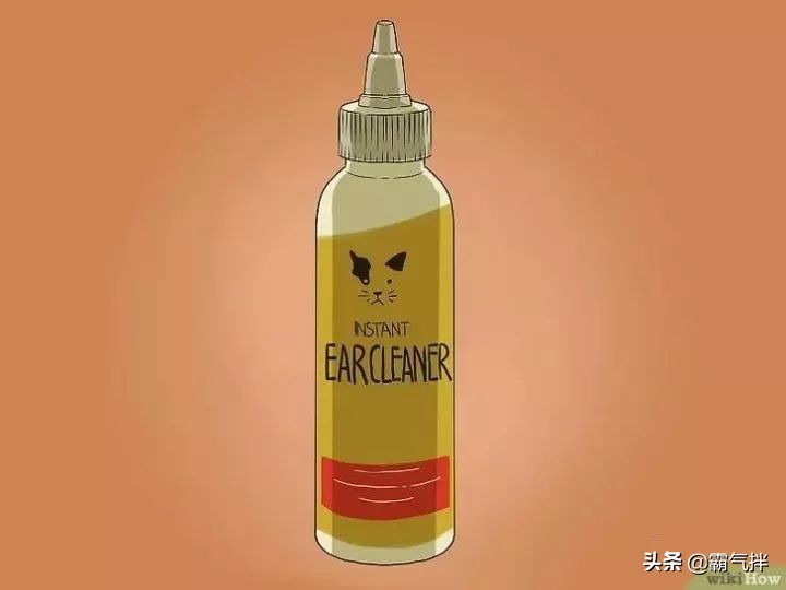 主子的耳朵脏了怎么办？教你正确的清理耳道的方法