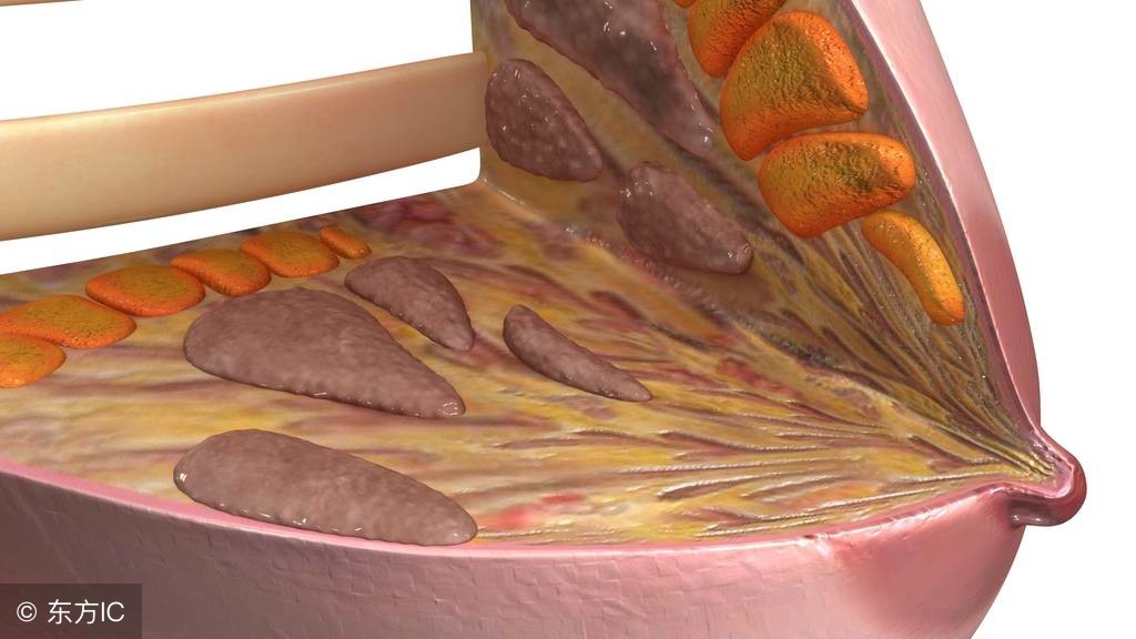 丰胸常识与禁忌你都了解多少,揭秘丰胸产品真的有效果吗