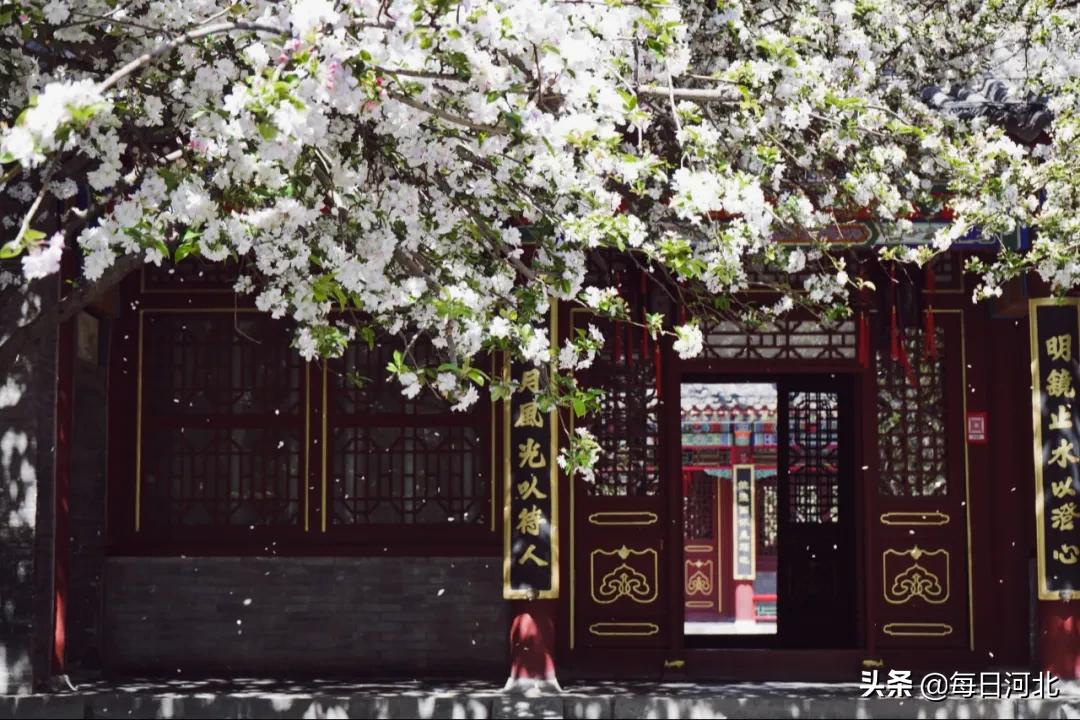 疫情后石家庄人最想说的一句话,疫情后的石家庄会有政策吗