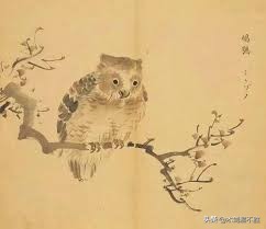 鸟为图腾的民族,商周朝为何以鸟为图腾