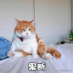 pdf用什么软件可以编辑pdf文字,怎样将pdf转成可编辑的pdf