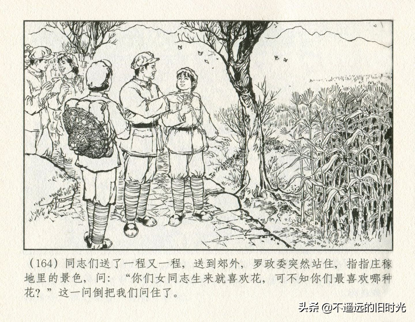 朝阳花-上海人民美术出版社1981初版2016再版陆成法陆小弟绘