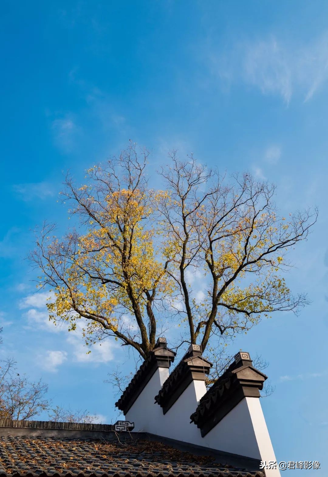 2018年那些感动瞬间,2018那些感动的视频