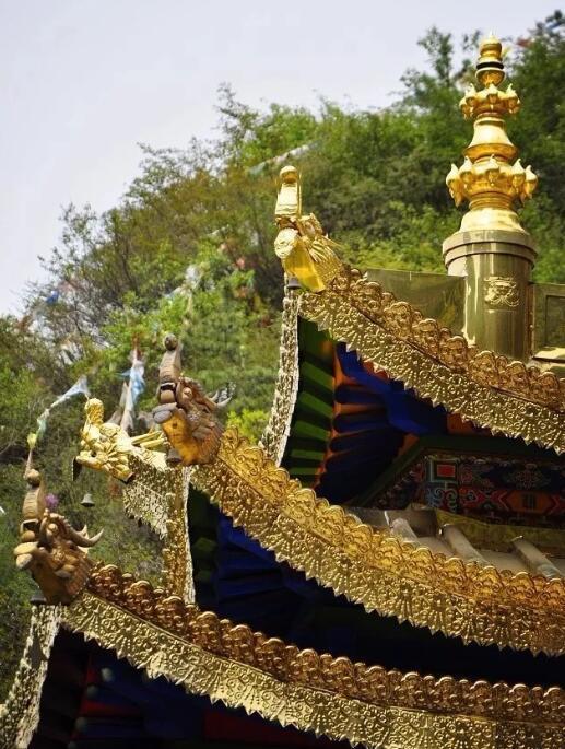 石佛沟的灵岩禅寺每天都开放吗,石佛沟灵岩禅寺一日游详细攻略