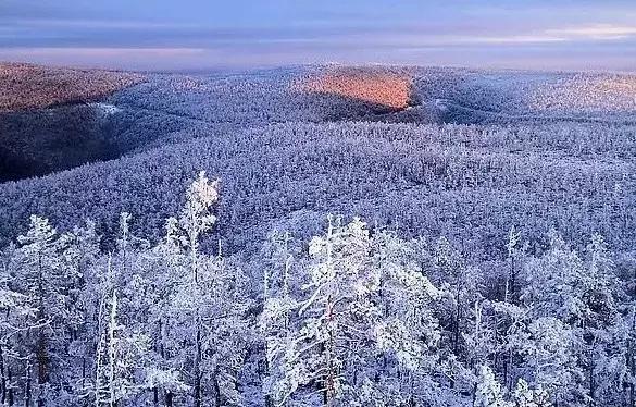 雾凇之美宛若仙境,连云港花果山雾凇美得像仙境