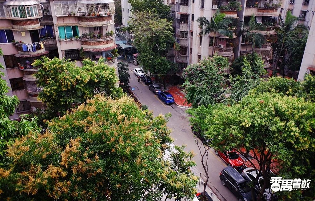 在番禺居住怎么样,在广州番禺哪里住得舒服