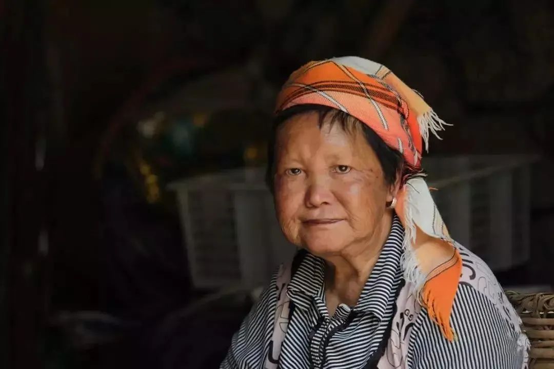 青春实践行NO.11|志愿者们的扬州“百景”，等你来赏