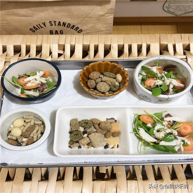 如果仓鼠不吃饭该怎么办,仓鼠不吃饭只吃零食怎么办