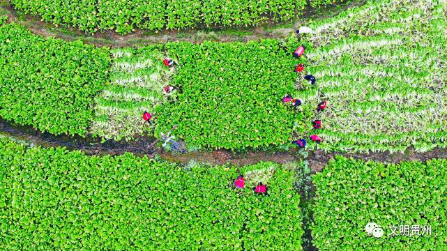 平凡又非凡，他们就在你我身边