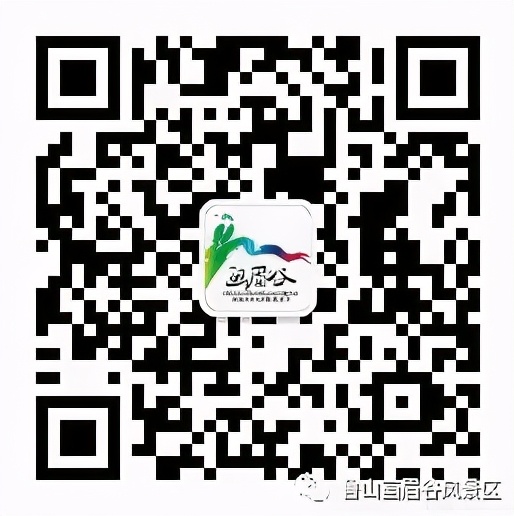 绿野仙踪旅游景区夜晚,画眉谷旅游景区