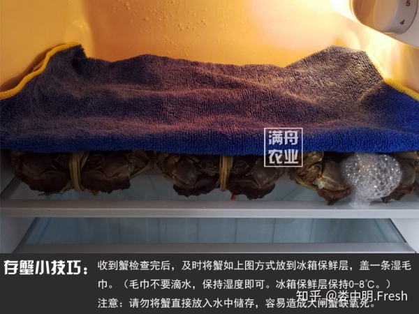 正宗阳澄湖大闸蟹几月份可以吃到,阳澄湖大闸蟹一般什么季节比较好