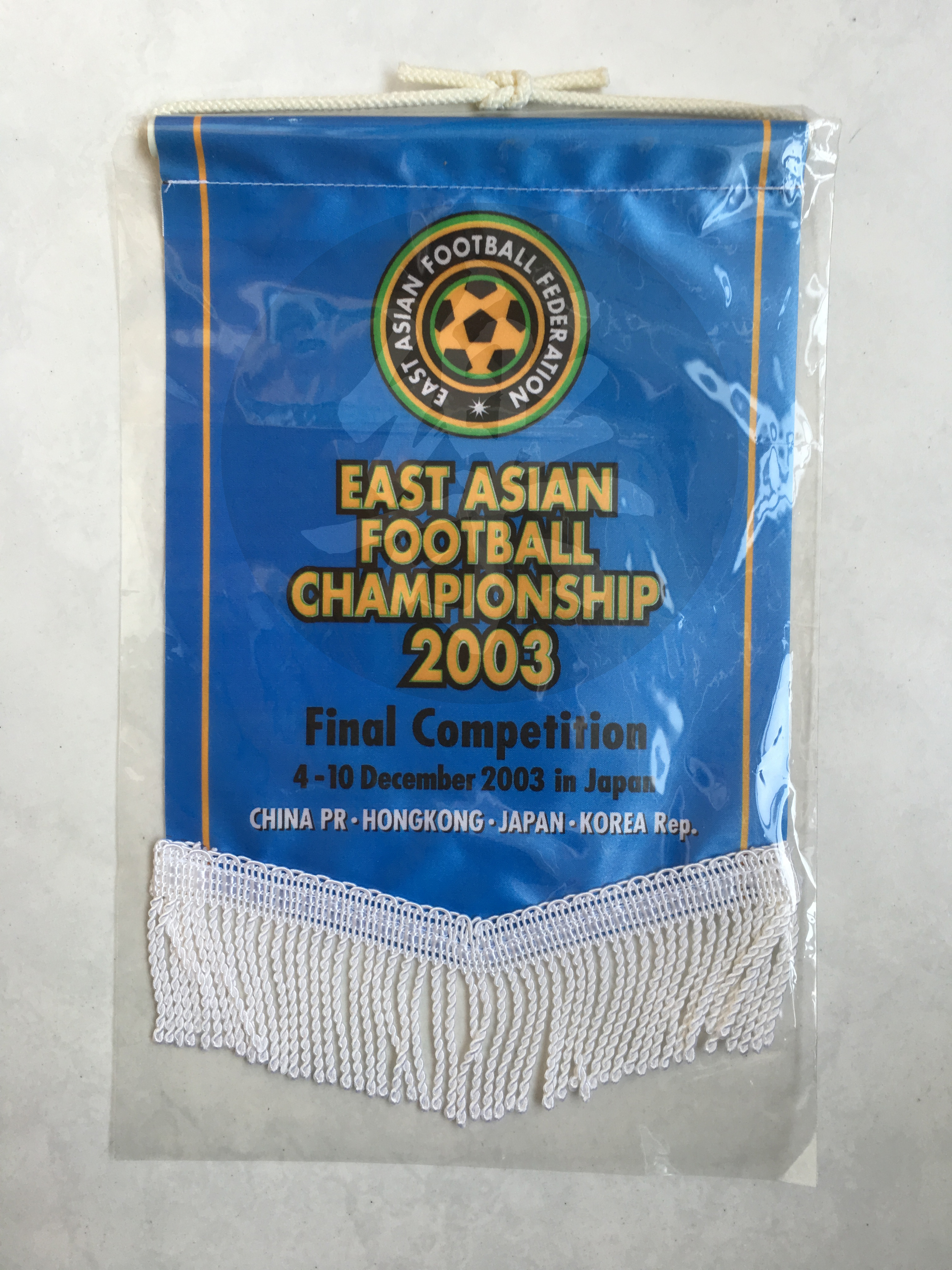 队旗收藏,收藏少先队队旗