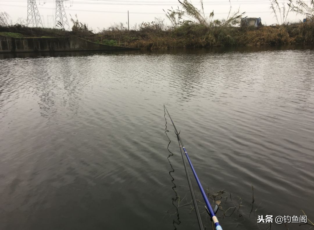 野钓大小通吃的饵料,春季野钓鲫鱼用什么味型饵料最好