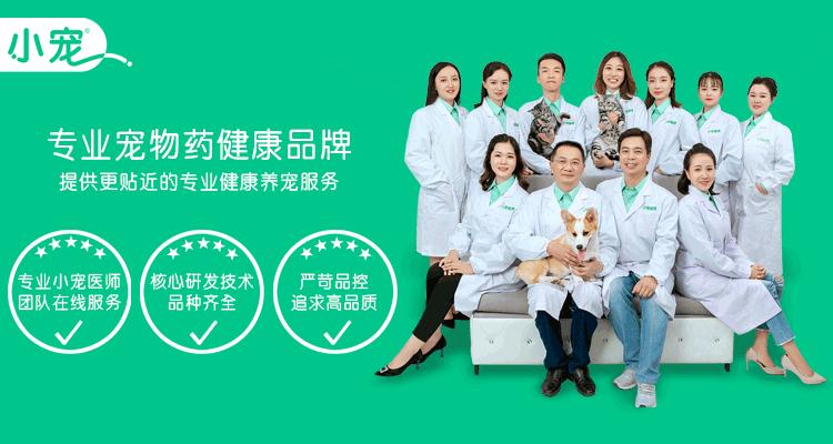 猫咪总是拉软便怎么办,猫咪总拉软便该吃什么药