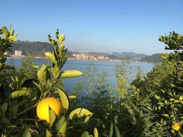 为钓鱼建房子,为了钓鱼在河边盖了房子