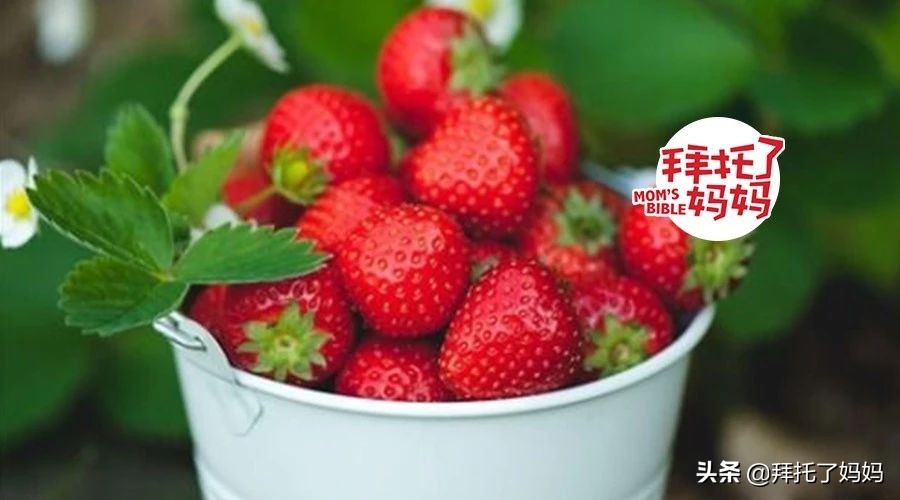 一岁宝宝吃草莓住院,小孩吃新鲜草莓导致病危