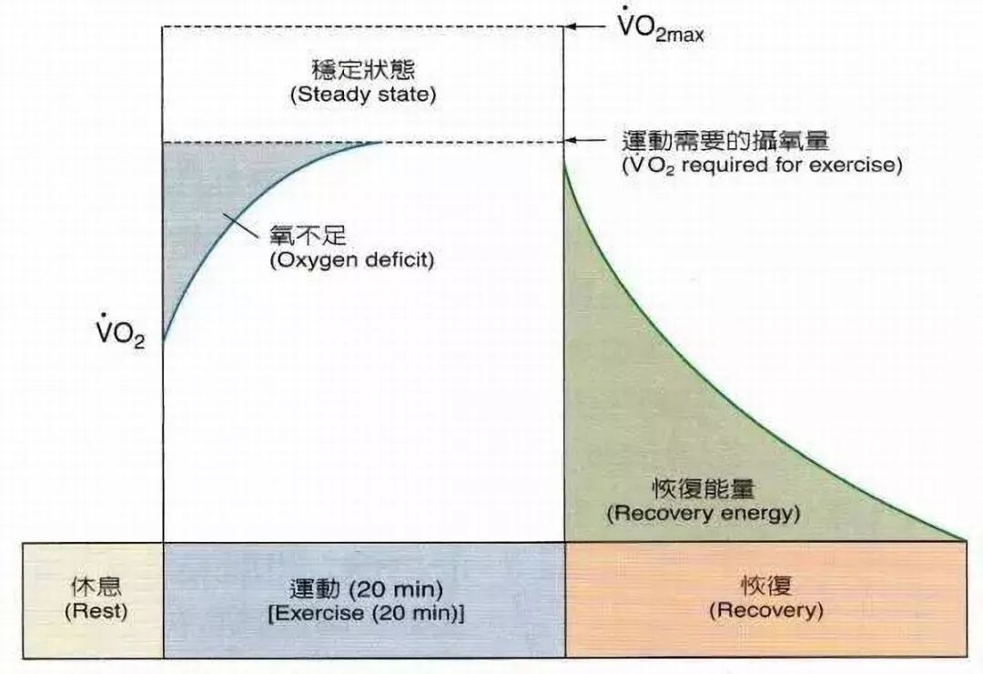 骑动感单车有减肥效果吗,骑动感单车减肥有效果吗