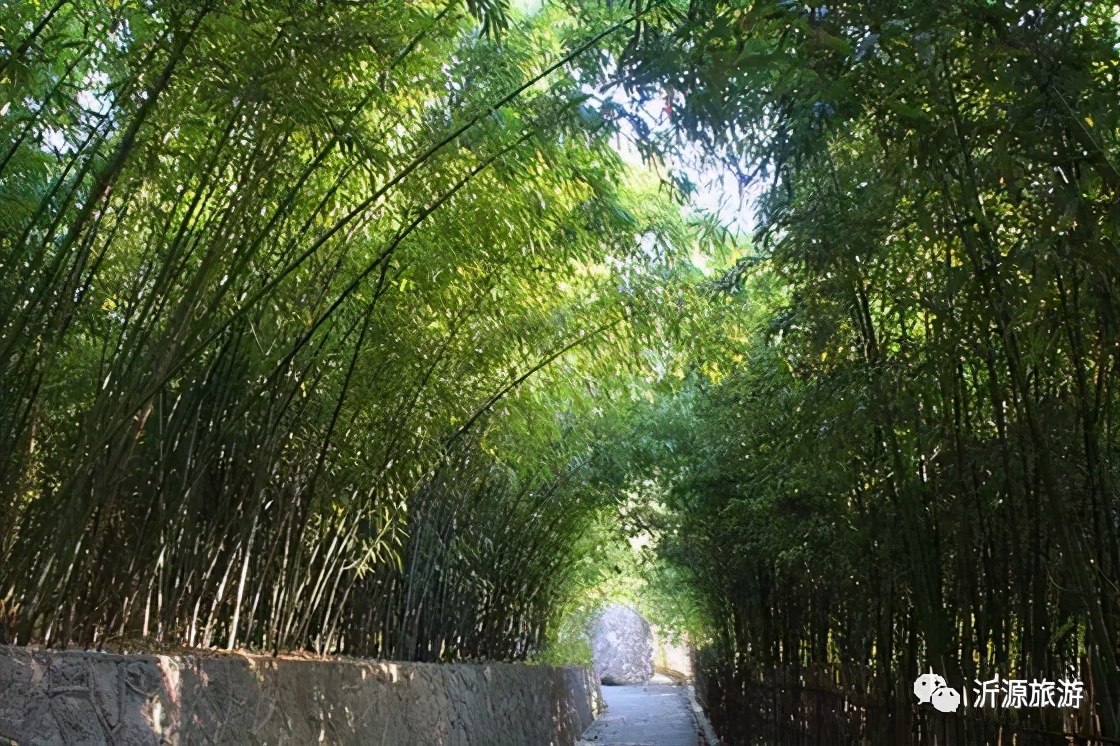 石花洞景区图片欣赏高清,探索石花洞穴