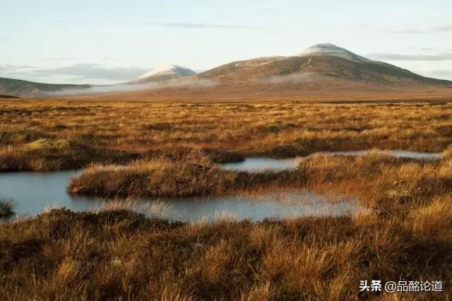 涓嶇敤鑷涔熷彲浠ョ粌钁佃姳瀹濆吀,涓嶇敤鑷缁冩垚钁佃姳瀹濆吀鐨勪汉