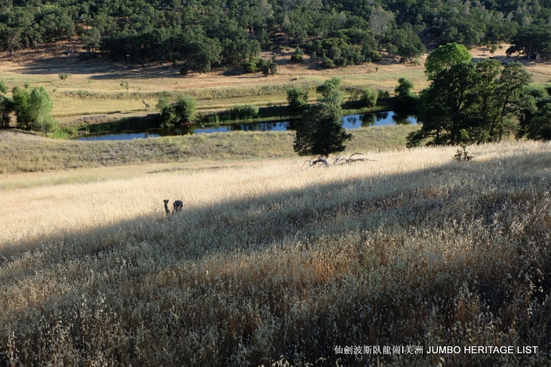 第3045回：人生一世草生一春，来如风雨去似微尘
