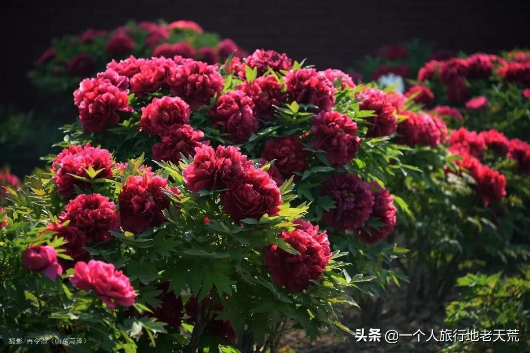 国内最适合一个人旅行的20个地方!去过才懂得什么是自由