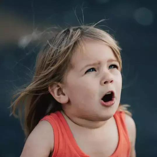 虚假客户套取公司费用,挖空心思诈骗公款