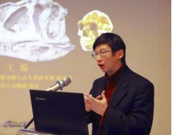 关于恐龙的儿童科普书籍,为什么孩子会喜欢看有关恐龙的书