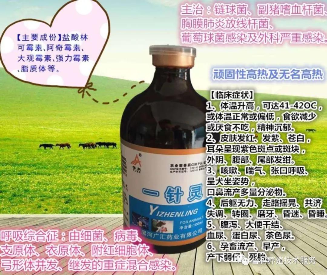 猪的关节肿大有没有民间偏方可治,猪的脚关节肿怎么治疗