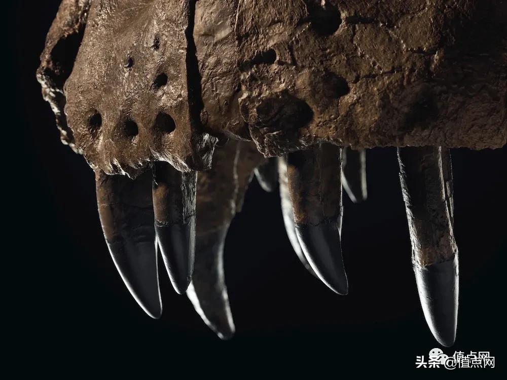 2020年拍卖回顾，总值RMB33.2亿的全球十大成交