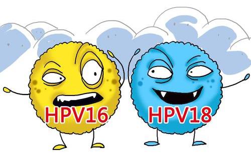 hpv感染和脚气有关吗,hpv感染和哪些肿瘤有关