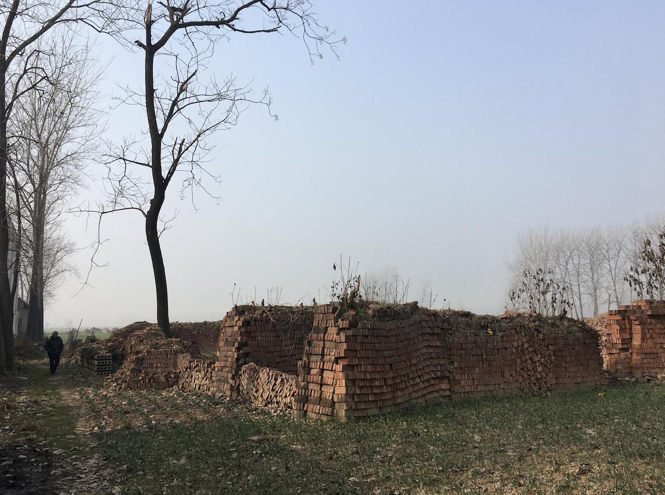 河南杀害堂妹案,河南省杀死学生一案