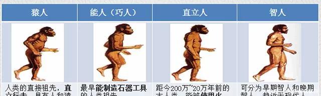 中国人最早从何而来？新近研究成果告诉你答案
