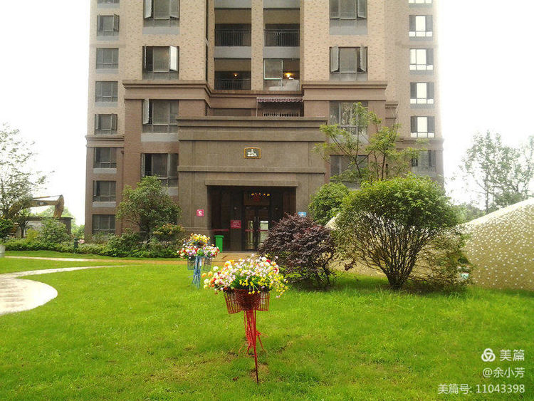 美丽的百合花钩织教程,美丽的百合花歌曲歌词