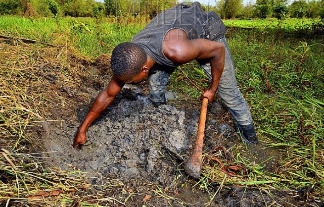 不吃不喝不拉不尿能活多久,鱼类不吃东西能活多久