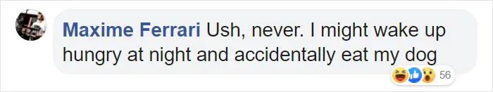 宜家小床被铲屎官们变成宠物床,日本网友:我“泡面杯床”不服