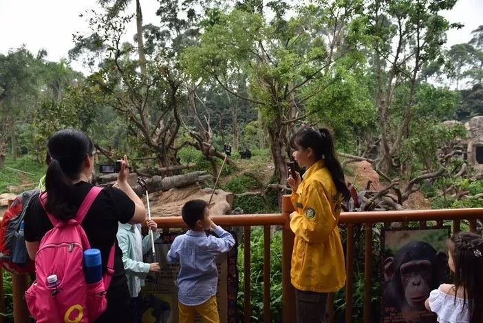 长隆野生动物世界暑假攻略,广州长隆野生动物园亲子一日游攻略