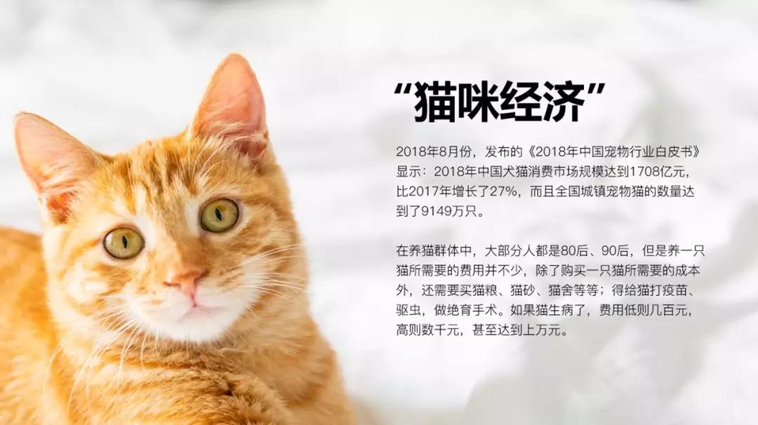 ppt页面中的图片如何讲解,ppt里面图片如何一步一步介绍